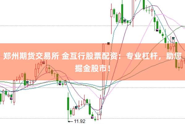 郑州期货交易所 金互行股票配资：专业杠杆，助您掘金股市！