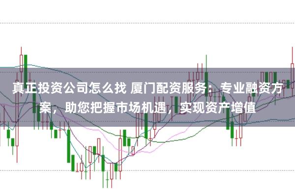 真正投资公司怎么找 厦门配资服务：专业融资方案，助您把握市场机遇，实现资产增值