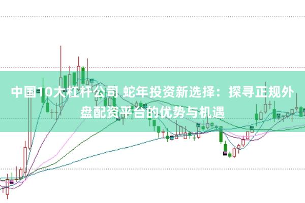 中国10大杠杆公司 蛇年投资新选择：探寻正规外盘配资平台的优势与机遇