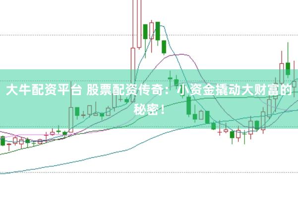 大牛配资平台 股票配资传奇：小资金撬动大财富的秘密！