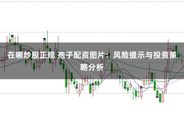 在哪炒股正规 孢子配资图片：风险提示与投资策略分析