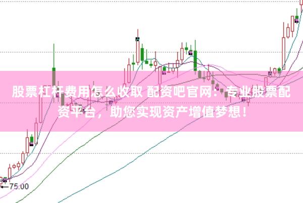 股票杠杆费用怎么收取 配资吧官网：专业股票配资平台，助您实现资产增值梦想！
