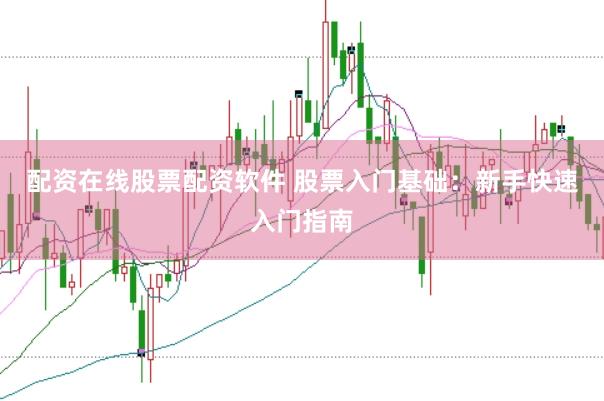 配资在线股票配资软件 股票入门基础：新手快速入门指南