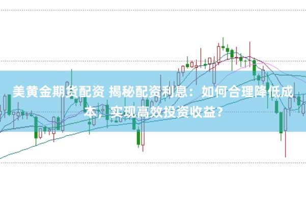 美黄金期货配资 揭秘配资利息：如何合理降低成本，实现高效投资收益？