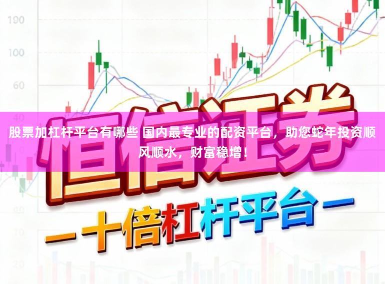 股票加杠杆平台有哪些 国内最专业的配资平台，助您蛇年投资顺风顺水，财富稳增！